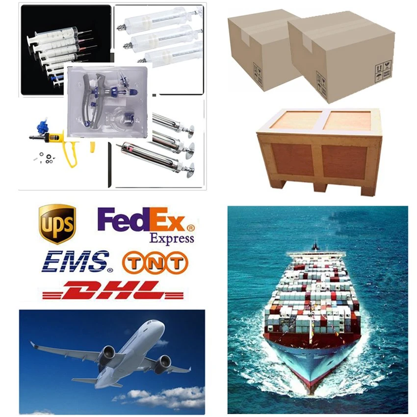 Packaging and veterinary stainless steel injection needle Packaging and veterinary stainless steel injection needle