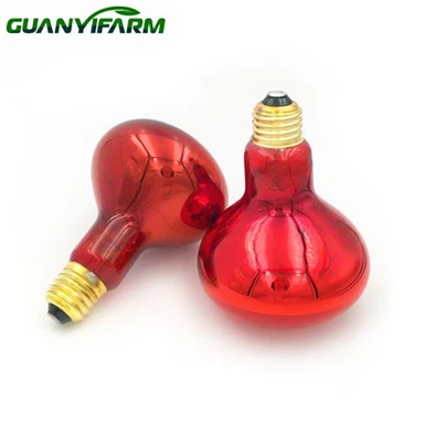 หลอดอินฟราเรด Brooder